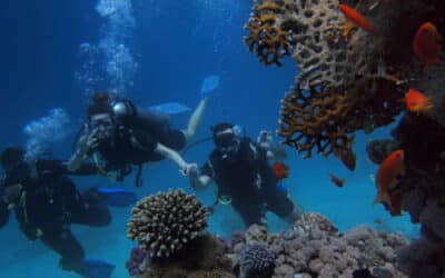 Mount Nevis Hotel - Experiences - Sailing and snorkeling