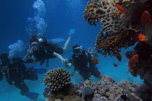 Mount Nevis Hotel - Experiences - Sailing and snorkeling
