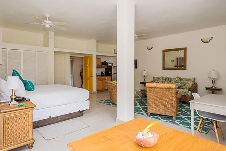 The Mount Nevis Hotel - Room - Open Loft